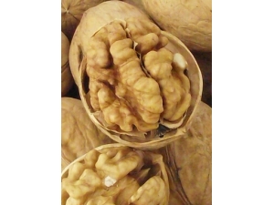 ������?���ҳԷ���������Ч