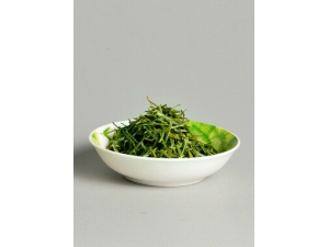 �̲�Ĺ�Ч?OL�������̲������ߴ���