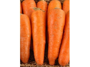 ���ܲ���Ӫ����ֵ?�ܲ���Ч����Щ��