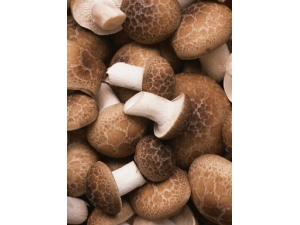 �㹽�Ĺ�Ч?�㹽ˮ�Ʒ�����Ů����������