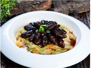 ��Ӽ��Ӫ����ֵ ��Ӽ�ļ�������