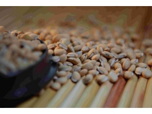 ������ε��� ����ů��ʳ���Ƽ�