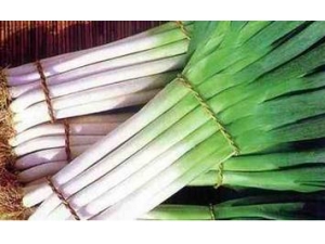 ��ʲô�ܲ���׳�� ��֪����