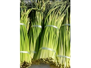 �����Ӫ����ֵ?������ʲô��Ч��