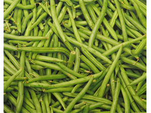 ������Ӫ����ֵ �����ĺó�����