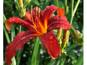 �ƻ��˵�Ӫ����ֵ �ƻ��˵�ҩ�ü�ֵ