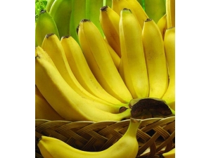 �־�֢?���˷�����˼���㽶�־�֢