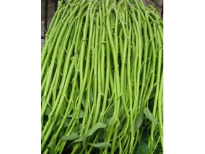 �ļ�������?3����ˮ��ˬ����