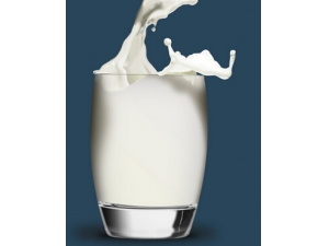 ţ��ʲôʱ������?��ţ�̵ĺô�