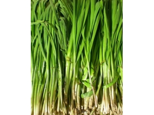 Ů��������?Ů�˴��������ر���Ʒ