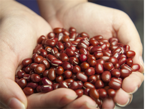 �𶹵ļҳ����� �𶹵�Ӫ���Է�