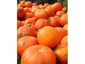 �Ϲϵ�����?��ô�������Ϲϵ�����