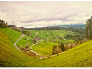 ���ǲݵ�Ӫ����ֵ ���ǲݵ���ʳ����