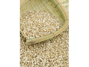 ��Ƣ��ʳ��?��15�Ƣ��ʪʳ��