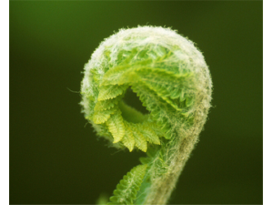 ާ�˵�Ӫ������ ާ����ô���ó�