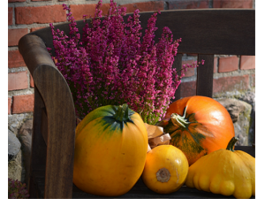 ���ϵ�Ӫ����ֵ ���ϵ�ҩ�ü�ֵ