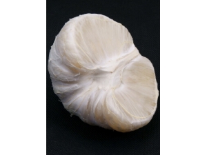 �����ϻ���?�������������̵