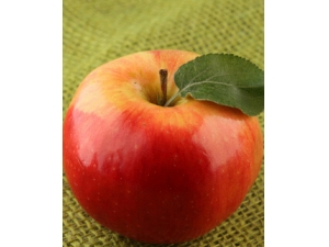 Ů�Զ�����������ʳ��?��Է����ٳԽ�