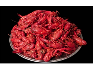 ����С��Ϻ������ ����С��ϺӦ��ô���ó�