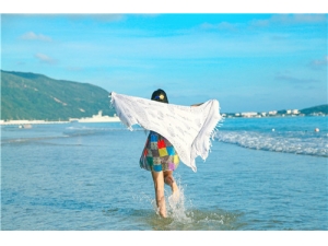 ���ֹ�Ӧ����ô�� ���ֹϵ�ҩ�ü�ֵ