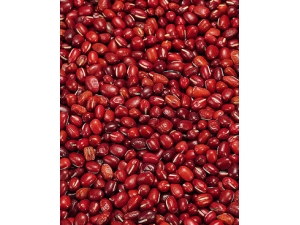 �ඹ�Ĺ�Ч������?�ඹ��ô�ԣ�