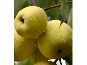 ���ݻ���С����?����ȥ����Ĥ