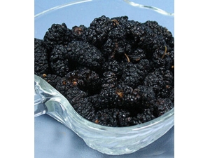 ��Ѫ��ʳ������Щ?�ĿѪʥƷ�������