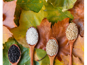 �����Ӫ����ֵ ����ĳԷ�