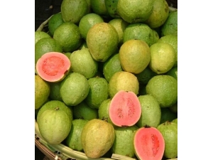 ��ʯ��Ĺ�Ч������?12�ֹ������㰮������