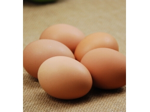 ������ʳ?���ڳԼ�����Ӫ����ʳ�÷���