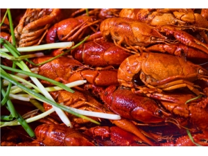 ʳþ²˵Ӫֵ ²˵ļֳԷ