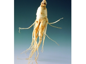 ��Ѫ��ʲô��?�߸���Ѫ��Ʒ���������ഺ