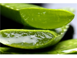 «����ҩ����������Щ ԭ���ô���ô��