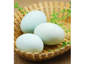 ��˥��ʳ��?�＾��������㿹˥��