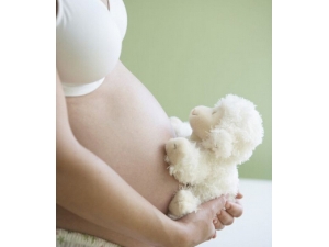 ������ע������?�и����ڱ�������