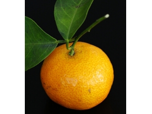 �����˳�ʲôˮ����?8��ˮ��������֮��