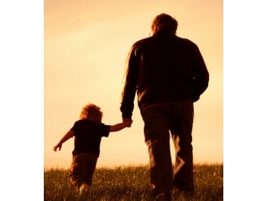 ���Ƶ�ʳ������Щ?���ײ����з���