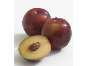 �и��ܳ�������?��������Щ�Է���