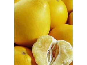 �������Ӳ�Ĺ�Ч?�������յֿ�Ƥ����