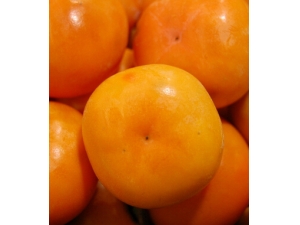 ���ӵĹ�Ч������?��������ЩӪ����ֵ��