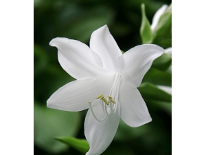 ʹ����ô����?���ʳ�����������ʹ������