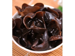 ������ʲô��?�Ƽ�6���＾��������ɫʳ�