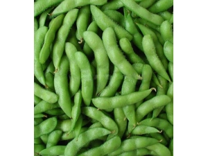 ë����ô���ó�?ë����Ӫ����ֵ����Щ��