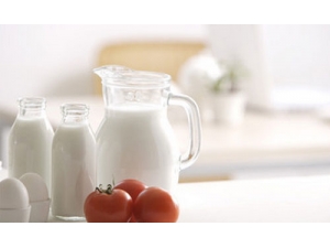 ��������ͻ���������