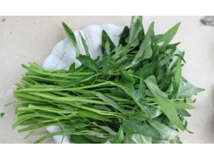 ��Ҷ����ô���ܸ�����