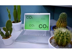 ����ǰ��ʲôֲ����Է�����