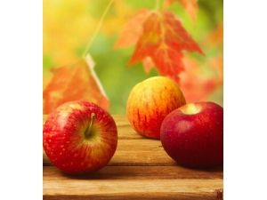 �����ʲôˮ����?7��ˮ��Ӫ������������