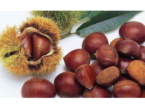 �������Ӳ���Ч�����