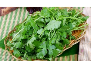 �����ʲô��Ч