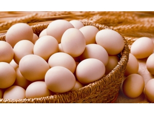 ������Ӫ����Ҫ��ȷ��